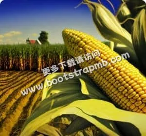 全天候在线服务，精彩不间断 - 华体会官网