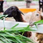 搜索 - 华体会官网
